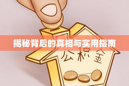 巴南揭秘背后的真相与实用指南