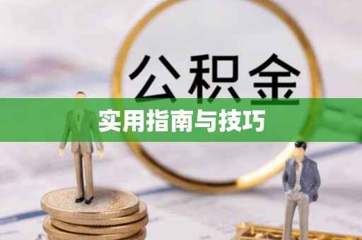 巴南实用指南与技巧
