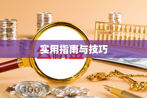 巴南实用指南与技巧