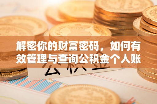 巴南解密你的财富密码，如何有效管理与查询公积金个人账户信息