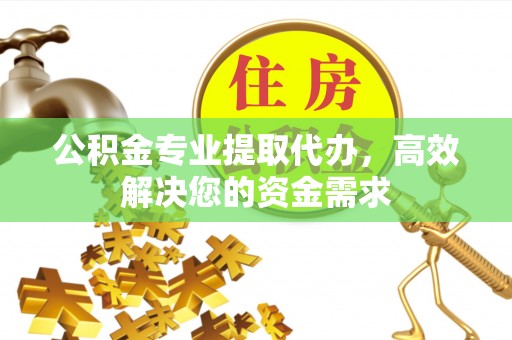 巴南公积金专业提取代办，高效解决您的资金需求