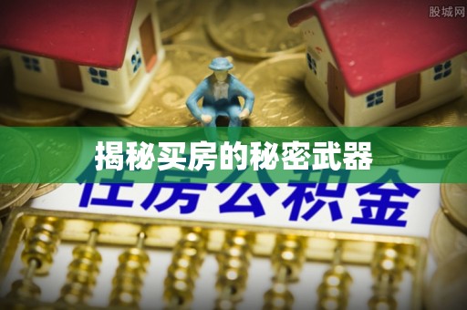 巴南揭秘买房的秘密武器
