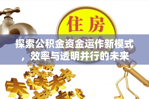 巴南探索公积金资金运作新模式，效率与透明并行的未来
