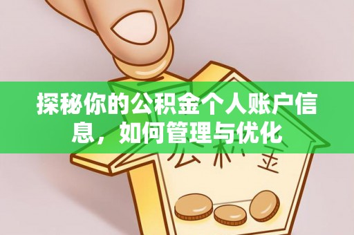 巴南探秘你的公积金个人账户信息，如何管理与优化