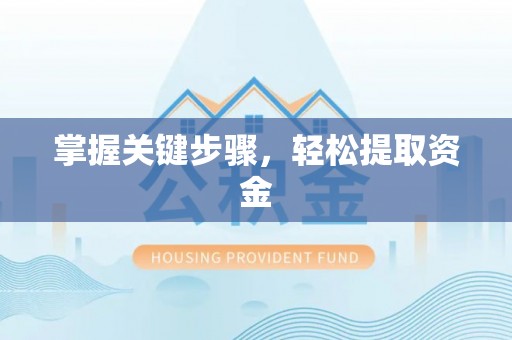 巴南掌握关键步骤，轻松提取资金