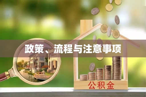 巴南政策、流程与注意事项
