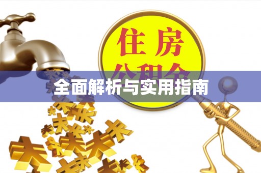 巴南全面解析与实用指南
