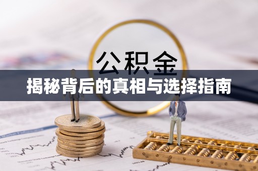 巴南揭秘背后的真相与选择指南