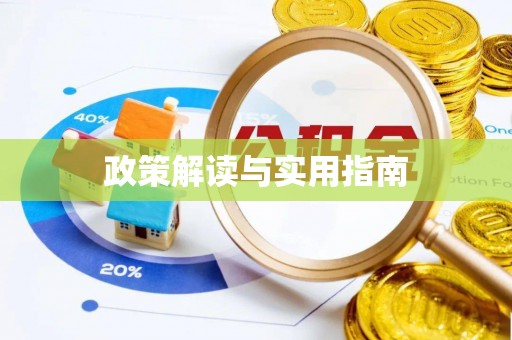 巴南政策解读与实用指南