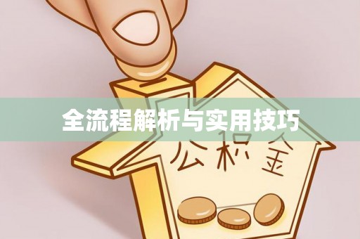 巴南全流程解析与实用技巧
