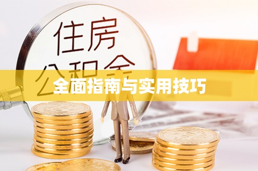 巴南全面指南与实用技巧