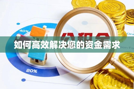 巴南如何高效解决您的资金需求