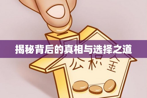 巴南揭秘背后的真相与选择之道