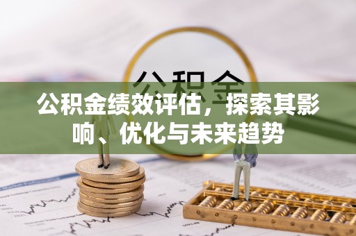 巴南公积金绩效评估，探索其影响、优化与未来趋势