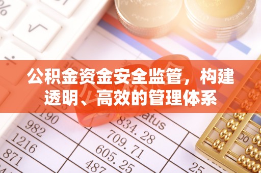 巴南公积金资金安全监管，构建透明、高效的管理体系