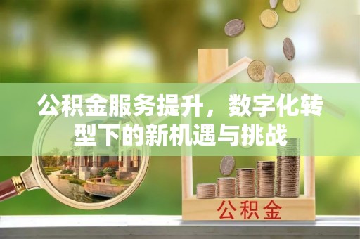 巴南公积金服务提升，数字化转型下的新机遇与挑战