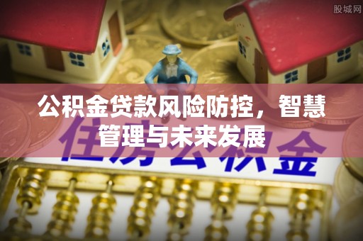 巴南公积金贷款风险防控，智慧管理与未来发展
