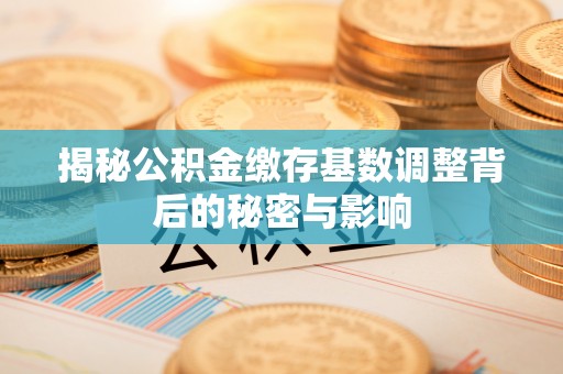巴南揭秘公积金缴存基数调整背后的秘密与影响