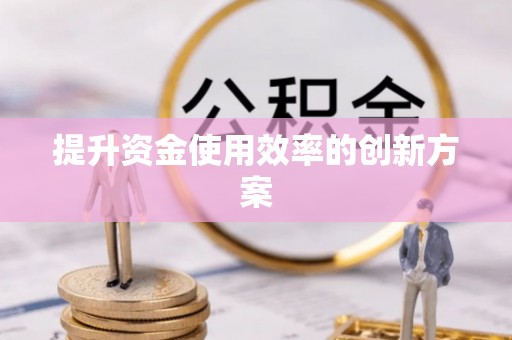 巴南提升资金使用效率的创新方案
