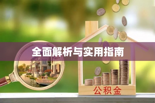 巴南全面解析与实用指南