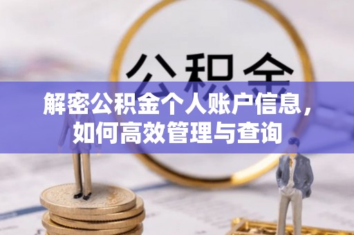 巴南解密公积金个人账户信息，如何高效管理与查询