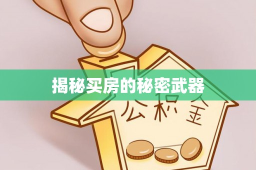 巴南揭秘买房的秘密武器