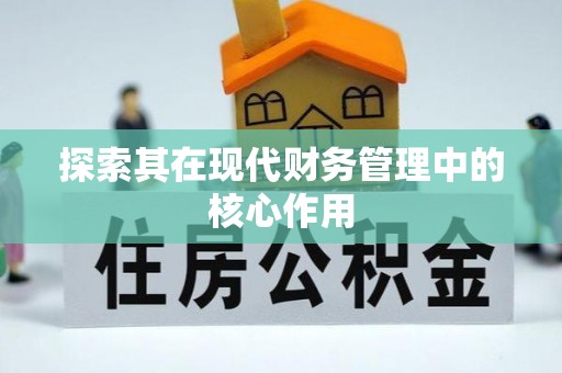 巴南探索其在现代财务管理中的核心作用