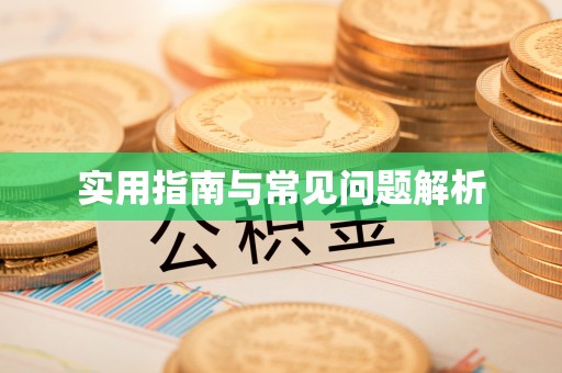 巴南实用指南与常见问题解析