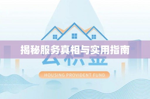 巴南揭秘服务真相与实用指南