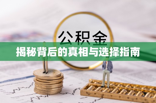巴南揭秘背后的真相与选择指南