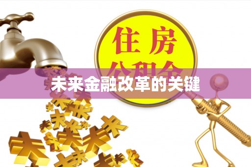 巴南未来金融改革的关键