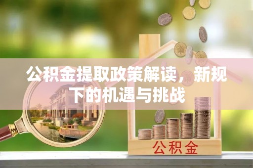 巴南公积金提取政策解读，新规下的机遇与挑战