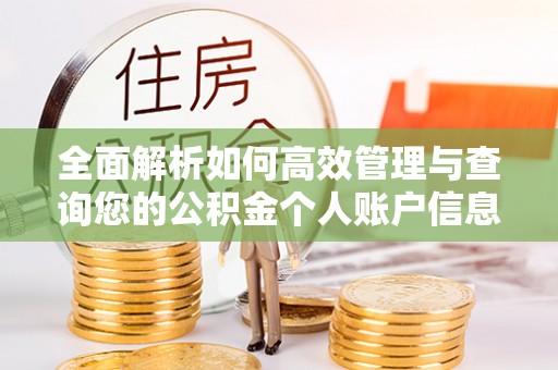 巴南全面解析如何高效管理与查询您的公积金个人账户信息