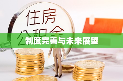 巴南制度完善与未来展望