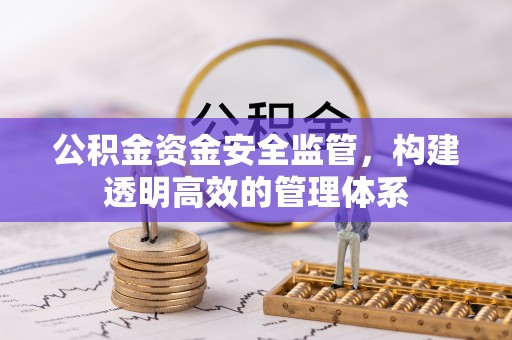 巴南公积金资金安全监管，构建透明高效的管理体系