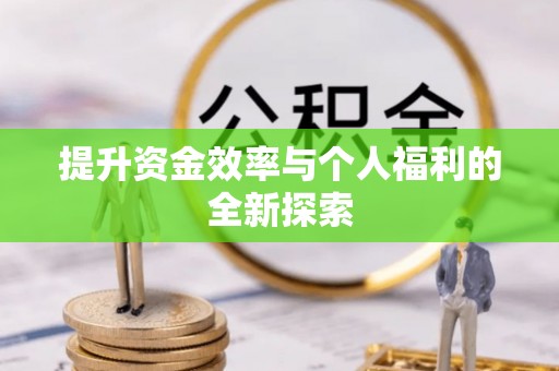 巴南提升资金效率与个人福利的全新探索
