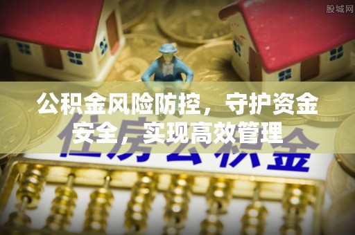 巴南公积金风险防控，守护资金安全，实现高效管理