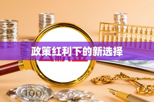 巴南政策红利下的新选择