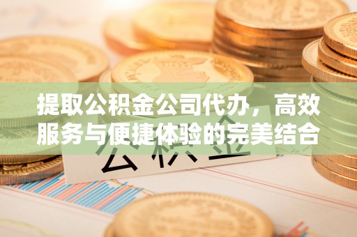 巴南提取公积金公司代办，高效服务与便捷体验的完美结合