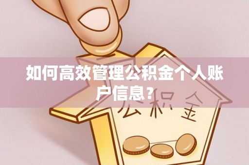 巴南如何高效管理公积金个人账户信息？