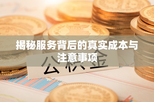 巴南揭秘服务背后的真实成本与注意事项