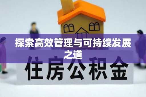 巴南探索高效管理与可持续发展之道