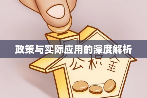 巴南政策与实际应用的深度解析