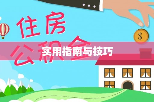 巴南实用指南与技巧