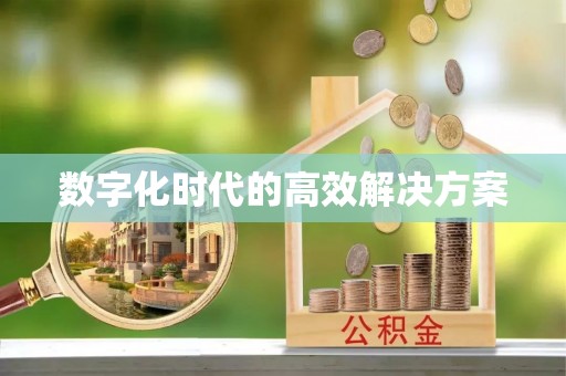巴南数字化时代的高效解决方案