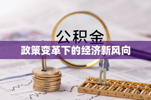 巴南政策变革下的经济新风向