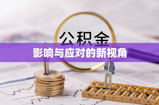 巴南影响与应对的新视角