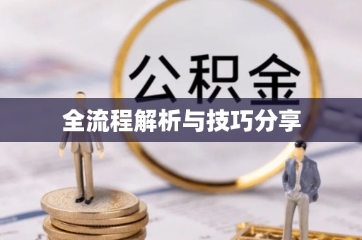 巴南全流程解析与技巧分享