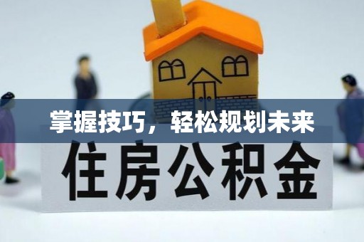 巴南掌握技巧，轻松规划未来