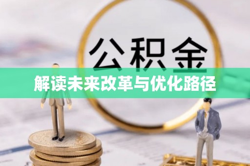 巴南解读未来改革与优化路径